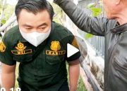 Kecewa Tagih Uang 1,6 Milyar Ke Martin, Oknum ASN Ketapang Lempar Bom Di Pendopo Bupati