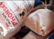 Kelompok Tani Mengeluh, Pupuk Bersubsidi Phonska Sulit Dicari