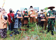 Bupati Bersama Unsur Forkopimda Panen Raya Cabai Merah di Kecamatan Betara