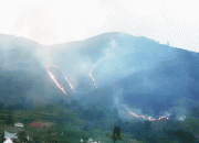 Pegunungan Kawasan Danau Toba di Sianjur Mula Mula Terbakar