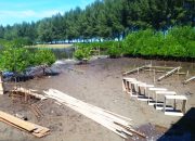 Amping Parak Siap Bertarung di Ajang Anugerah Desa Wisata Indonesia 2024