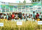 Pemkab Solok Selatan Dukung Metode Tanam Tanpa Olah Tanah Untuk Ketahanan Pangan