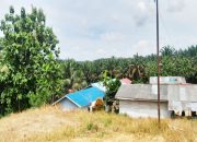 PT Agro Massa Diduga Beroperasi Tanpa HGU di Kawasan Hutan Produktif, Polemik Memanas