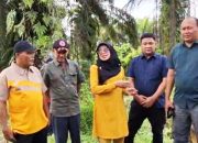 Tebing Batang Timpeh Runtuh Diterjang Banjir, Wabup Dharmasraya Lely Arni Gerak Cepat Tinjau Kerusakan di Lokasi