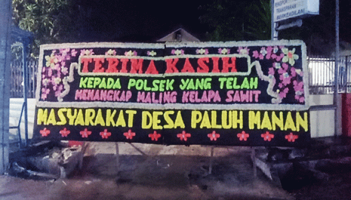 Kapolsek Hamparan Perak Tangkap Pelaku Pencurian Sawit di Desa Paluh Manan, Warga Apresiasi Tindakan Cepat Pihak Kepolisian
