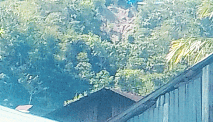 Bukit Putaran Sungai Ipuah Terancam Ambruk: 4 Tahun Penambangan Ilegal, Ribuan Nyawa Dalam Bahaya